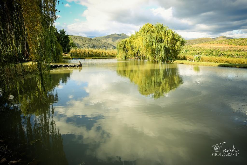 Oue Werf Country House Oudtshoorn Extérieur photo