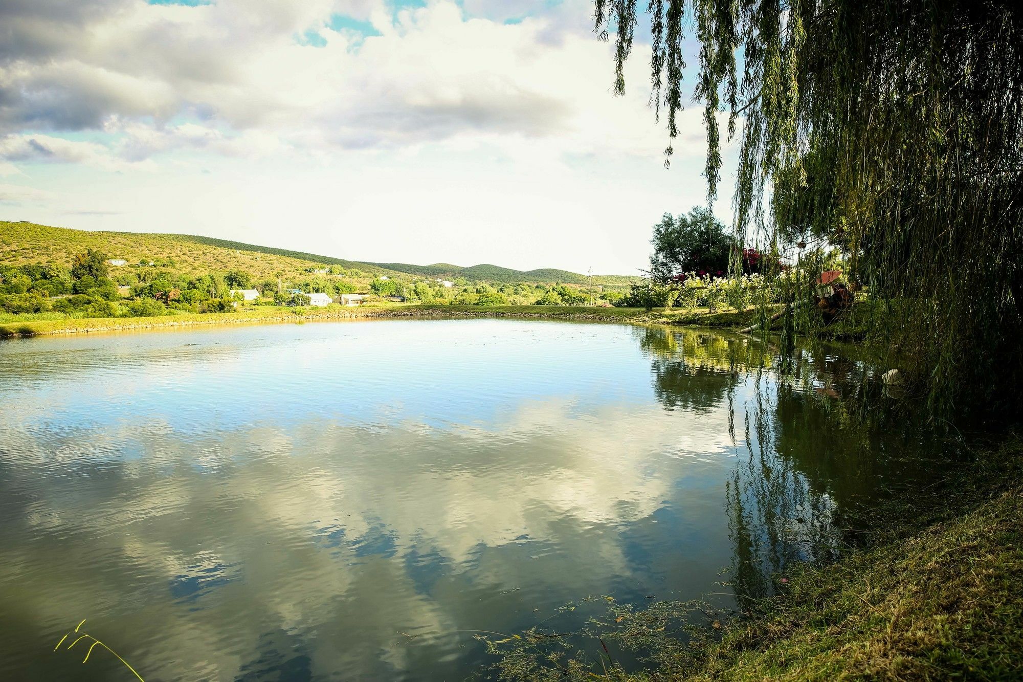 Oue Werf Country House Oudtshoorn Extérieur photo